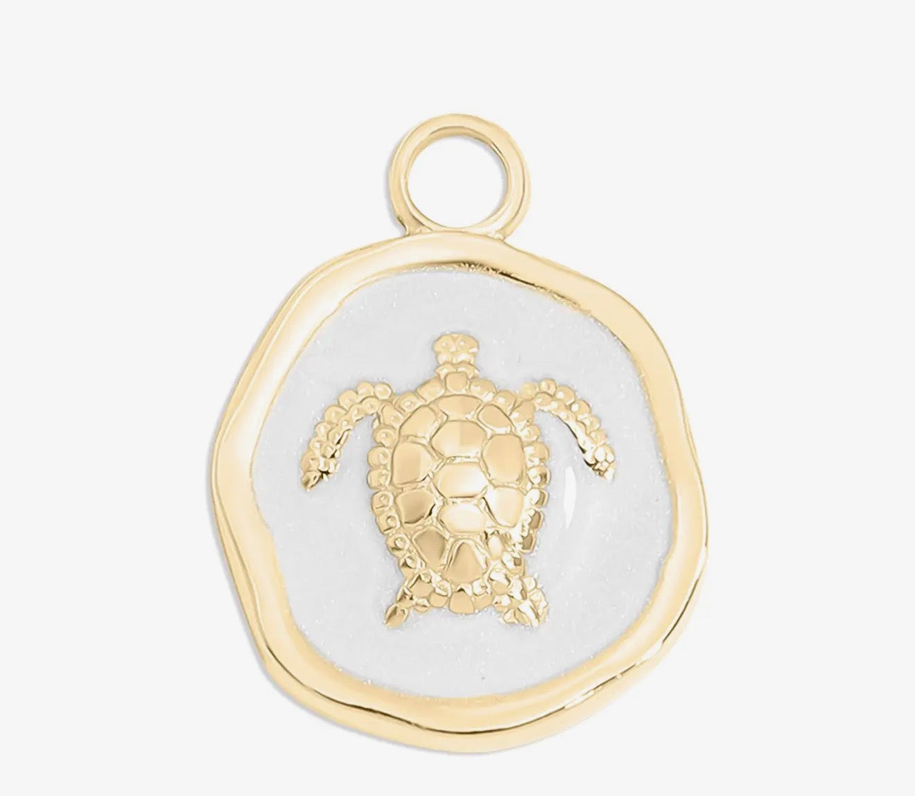 Sea Turtle Charm