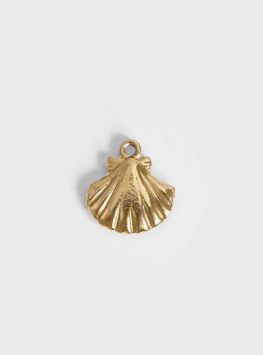 Shell Charm