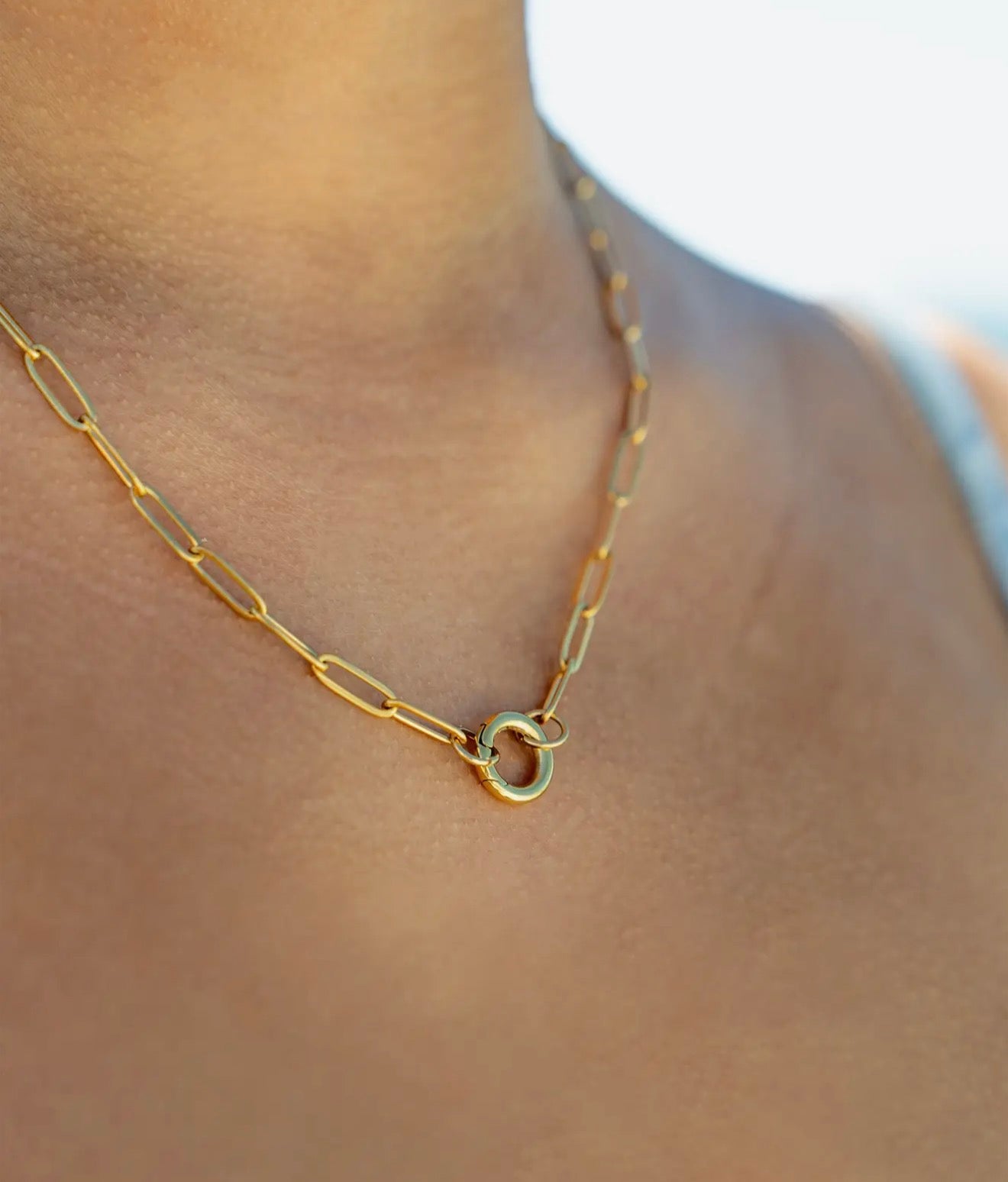 Paperclip Carabiner Charm Holder Necklace